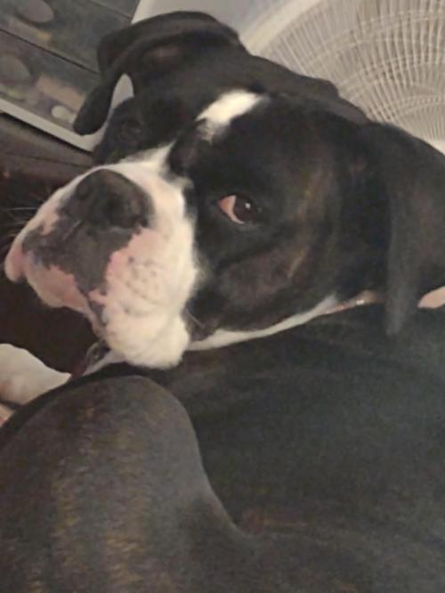 07:34:17 GMT-0600 (CST)