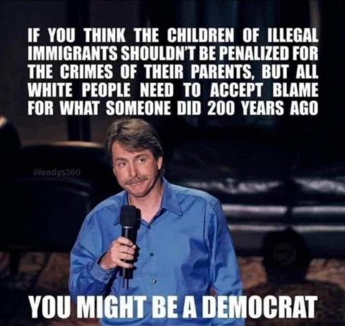 You Might Be a Democrat