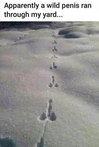 Screenshot_2019-11-03-09-15-27-1