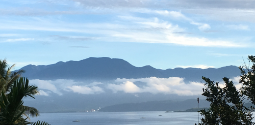 315E4D33-B3E2-4D2A-8643-E85F2240C72D