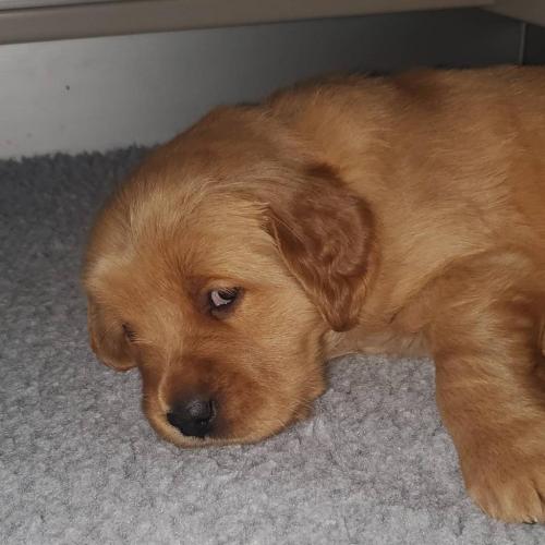 15:14:33 GMT-0500 (EST)