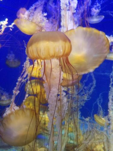 15:38:28 GMT-0800 (PST)