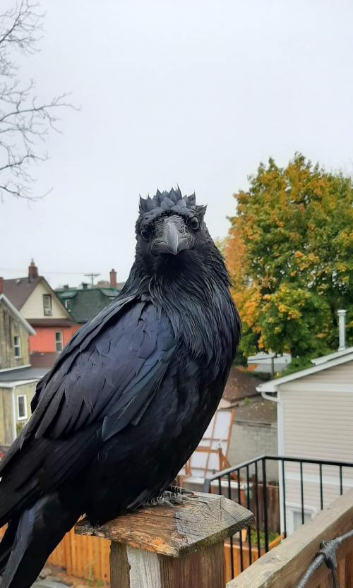 14:30:25 GMT-0800 (PST)