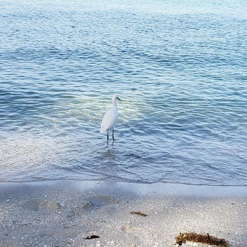 21:32:42 GMT-0500 (EST)