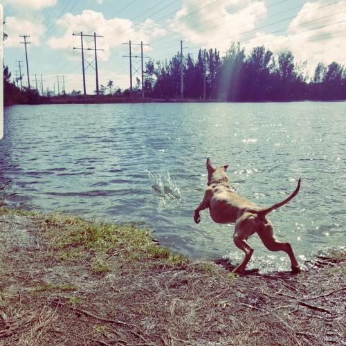 00:06:26 GMT-0500 (EST)