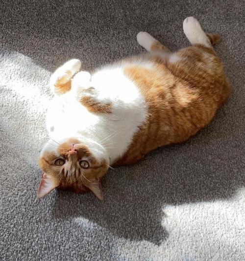 12:04:18 GMT-0500 (EST).image