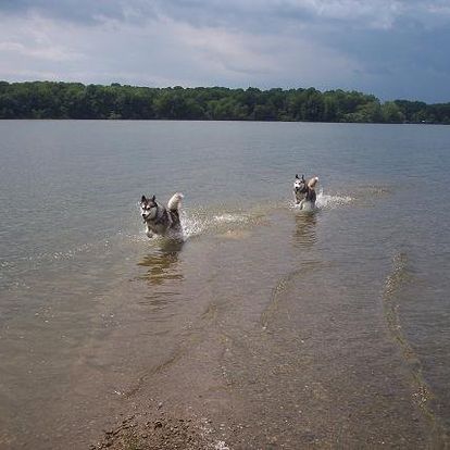 41363_1426193054550_3446503_n