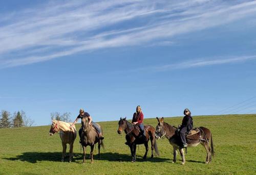 05:38:41 GMT-0800 (PST)