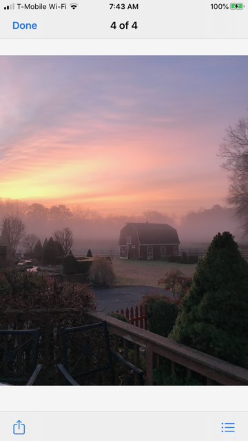 Cherubs Creek Farm photo