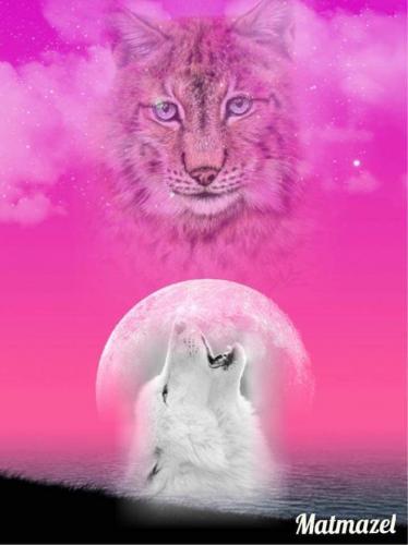 13:39:17 GMT-0600 (CST).image