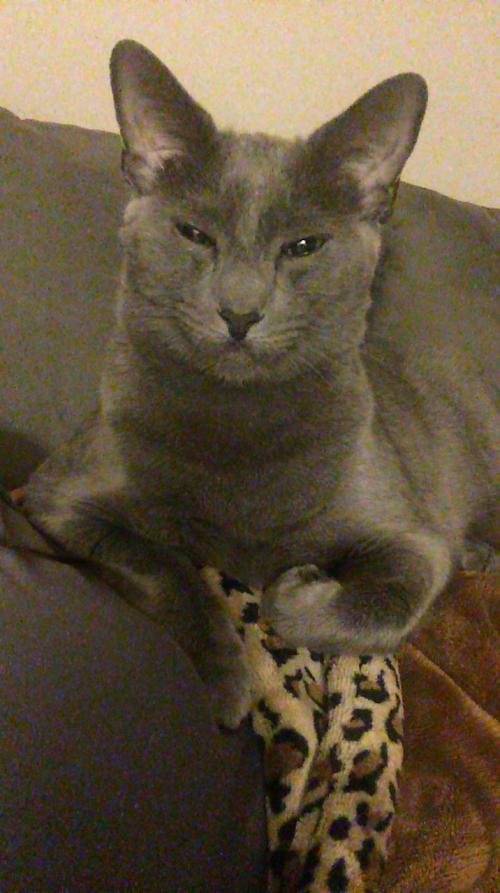 08:44:28 GMT-0800 (PST).image