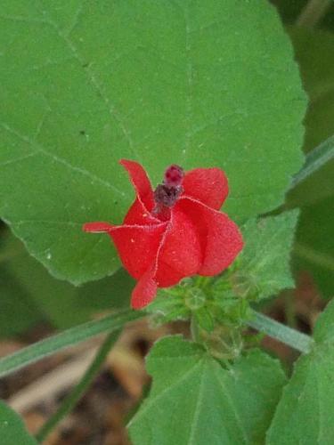 15:30:07 GMT-0800 (PST)