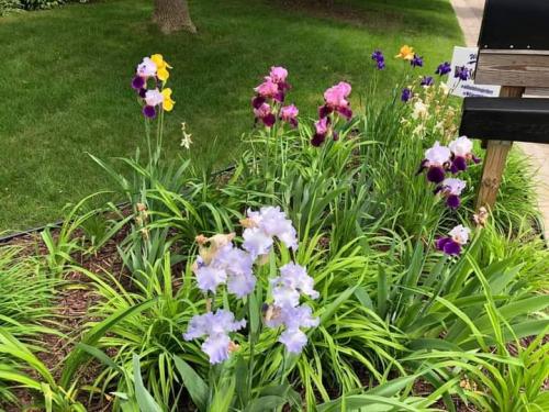 13:14:17 GMT+0100 (WAT)