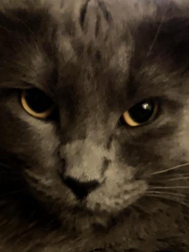 21:20:04 GMT-0800 (PST).image