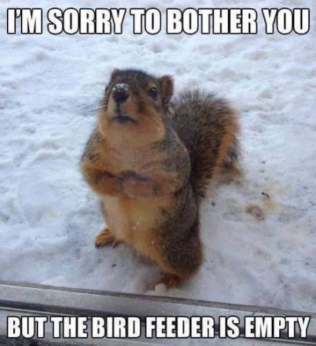 4A214219-BD49-4D2C-9839-FD9B995B9E70