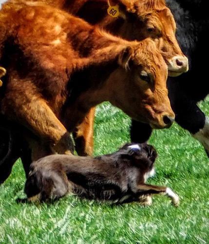 playmemoriesonline_1520817261998