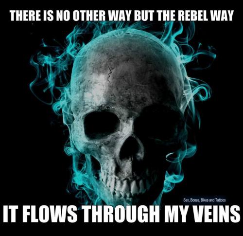 10955803_1014706241915426_1288531990173912015_n