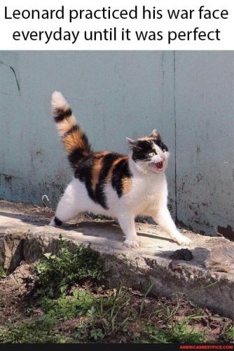 22:00:33 GMT-0600 (CST).image