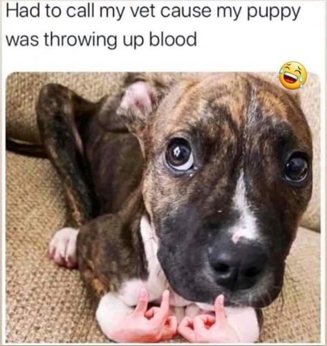 14:35:27 GMT-0600 (CST)