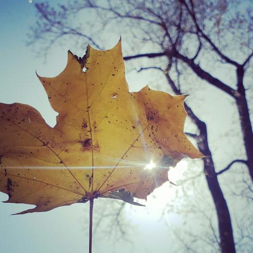 16:29:37 GMT-0600 (CST)