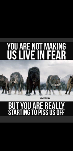 18:56:37 GMT-0500 (EST)