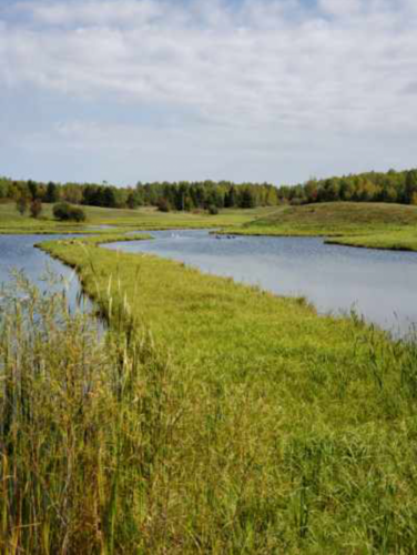 07:12:40 GMT-0600 (CST)