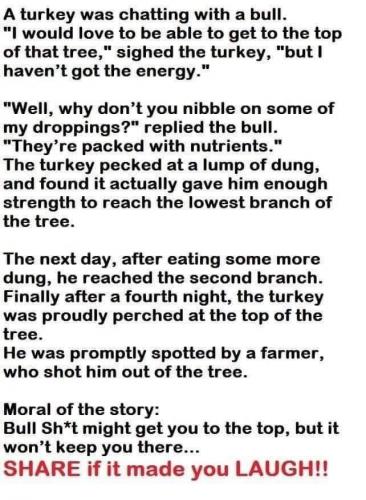 08:02:17 GMT-0500 (EST).image