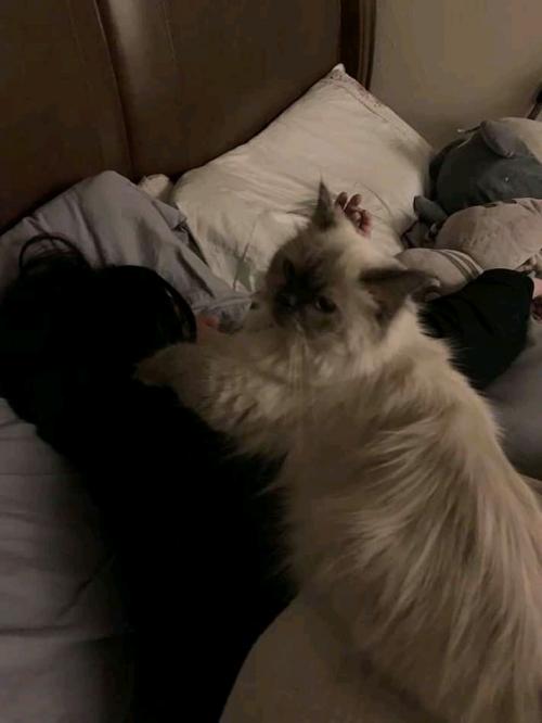 15:16:24 GMT+0100 (WAT)