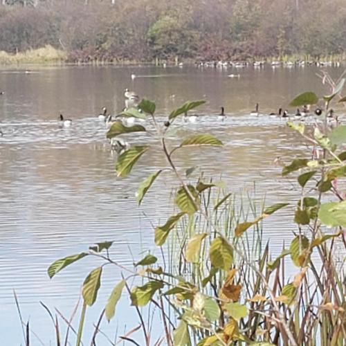 07:06:13 GMT-0500 (EST)