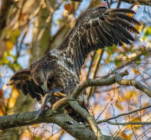 124785767_1273790652976568_633911399499374096_o