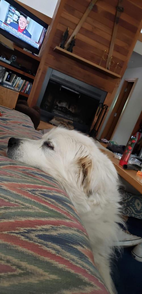 11:19:03 GMT-0500 (EST)