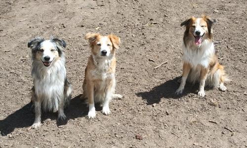 20:11:40 GMT-0700 (MST)