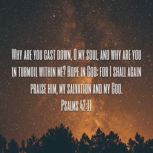 2018-09-04 06.28.11 1860932735570679752_5403409862