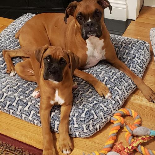 22:15:34 GMT-0600 (CST)