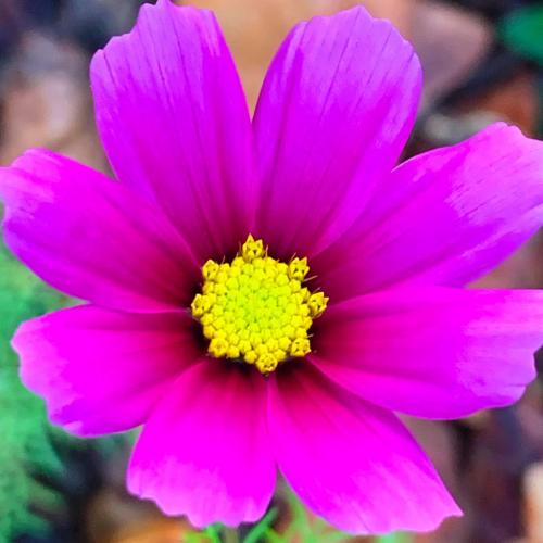 20:47:28 GMT-0600 (CST).image