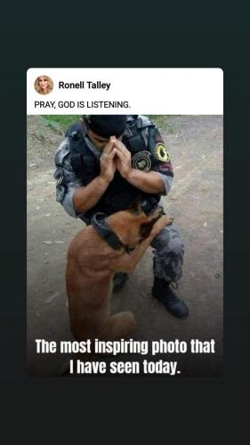 puppy pray_o