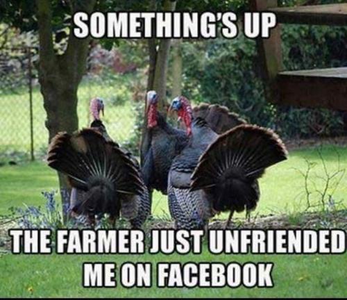 23:09:55 GMT-0500 (EST)