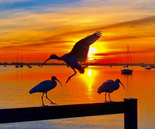 12:48:39 GMT-0500 (EST)