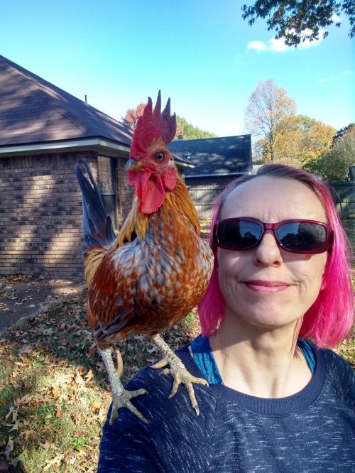 14:04:54 GMT-0600 (CST)