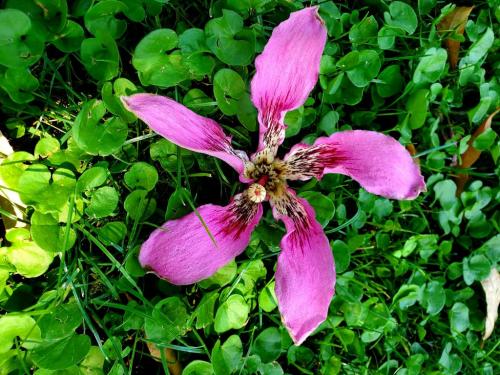 15:26:21 GMT-0800 (PST)