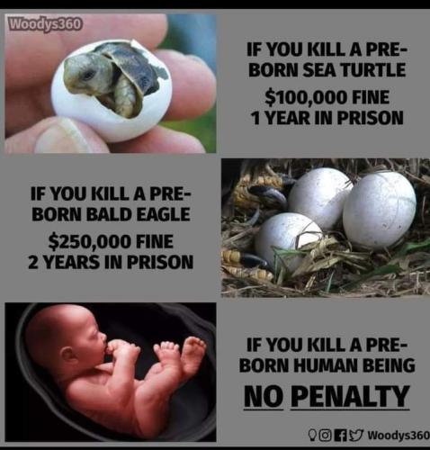 18:20:30 GMT-0600 (CST)