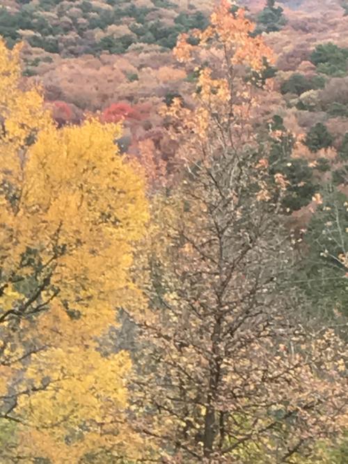 11:01:13 GMT-0600 (CST).image