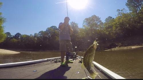 14:32:36 GMT-0600 (CST).image