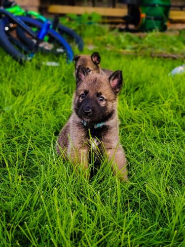 22:58:55 GMT-0600 (CST)