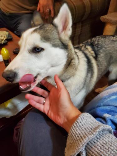 12:47:20 GMT-0500 (EST)