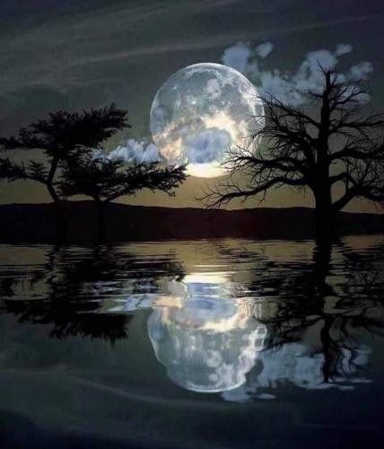 21:14:08 GMT-0500 (EST)