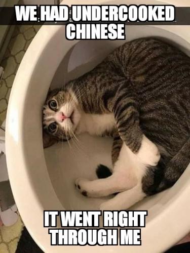 05:20:58 GMT-0600 (CST)