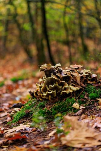 tumblr_120cff9cc8fa590f8debcc430b33417d_dee4612c_2048