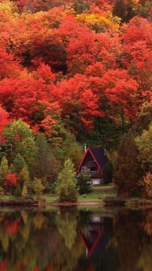 09:47:43 GMT-0500 (EST).image