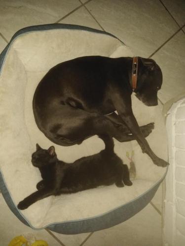 01:45:09 GMT-0600 (CST)